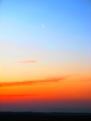 Similar image 585045