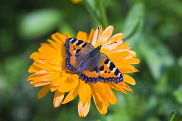 Similar image 585155