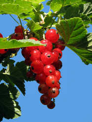 Similar image 585242