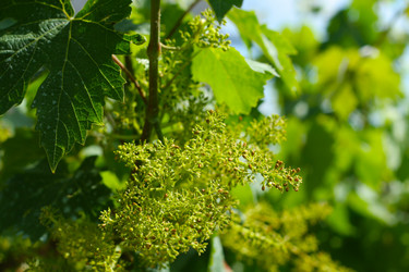 Similar image 585303