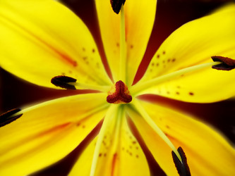 Similar image 585322