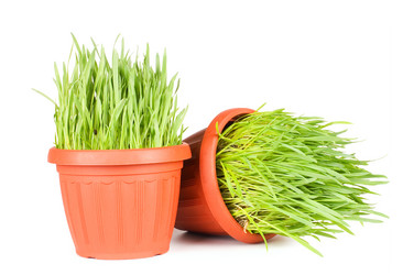 Similar image 585411