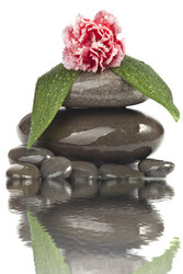 Similar image 585432