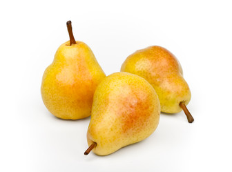 Similar image 585519