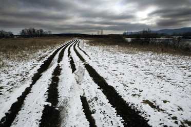 Similar image 585524