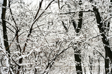 Similar image 585644