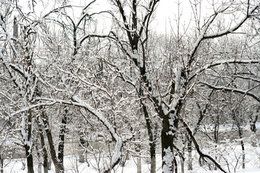 Similar image 585645