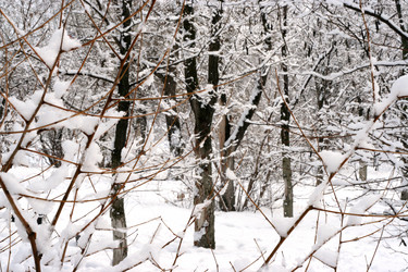 Similar image 585647