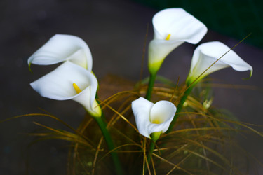 Similar image 585690