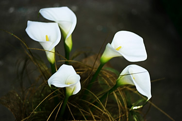 Similar image 585696