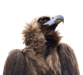 Similar image 585793