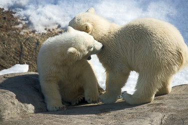 Similar image 585801