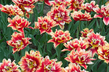 Similar image 585803