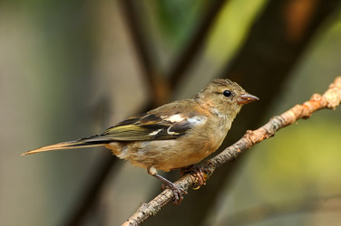 Similar image 585807