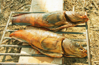 Similar image 585972