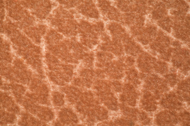 Similar image 586132