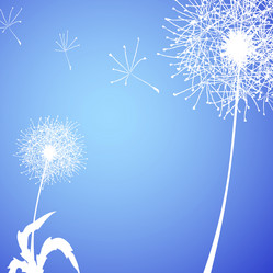 Similar image 586154