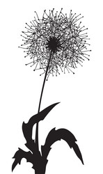 Similar image 586178