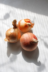 Similar image 586181