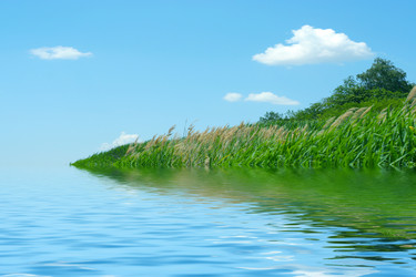 Similar image 586253