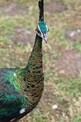 Similar image 586266