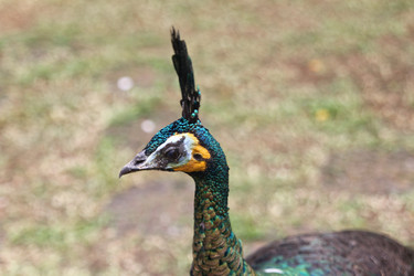 Similar image 586269