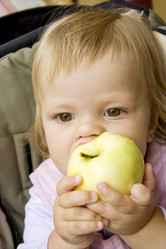 Similar image 586327