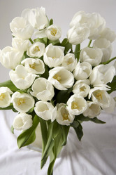 Similar image 586341