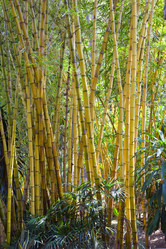 Similar image 586357