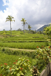 Similar image 586359