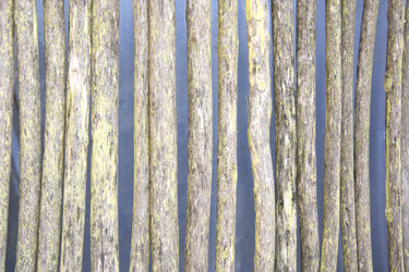 Similar image 586398