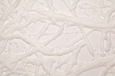 Similar image 586524