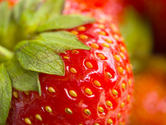 Similar image 586535