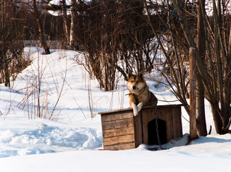 Similar image 586639