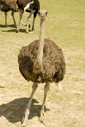 Similar image 586778