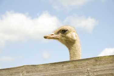 Similar image 586781