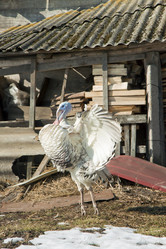 Similar image 586783