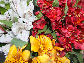 Similar image 586841