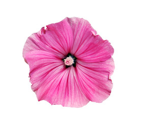 Similar image 586846