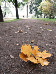 Similar image 586895