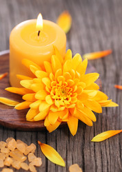 Similar image 587216