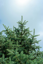 Similar image 587224