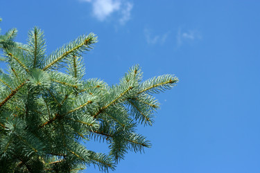 Similar image 587225