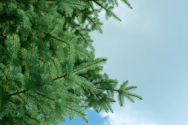 Similar image 587227