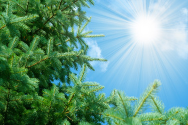 Similar image 587230