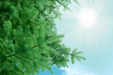 Similar image 587231