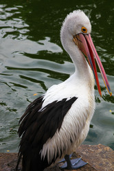 Similar image 587254