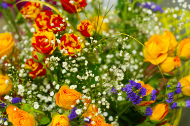 Similar image 587258