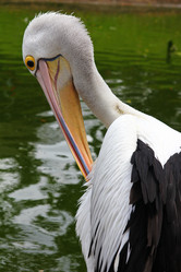 Similar image 587259