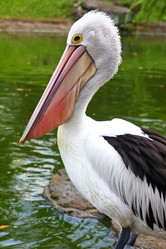 Similar image 587267